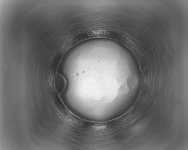 X0000060770651200512011613