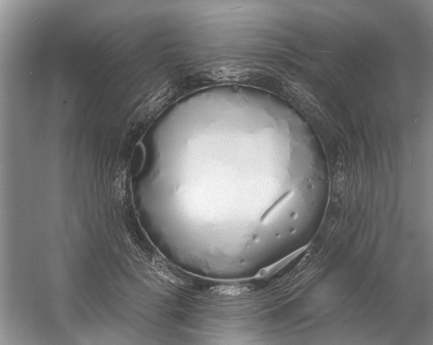 X0000060770652200512011613