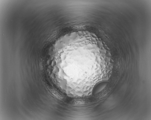 X0000060770658200512011613