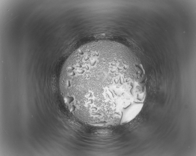 X0000060770659200512011613