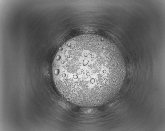 X0000060770663200512011613