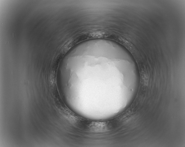 X0000060770665200512011613