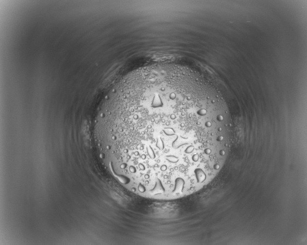 X0000060770667200512011613