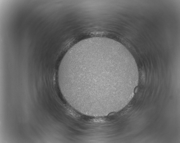 X0000060770668200512011613