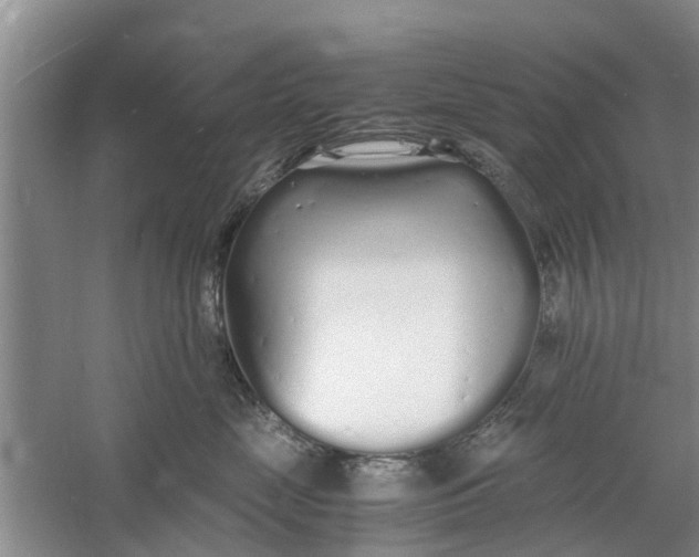 X0000060770669200512011613