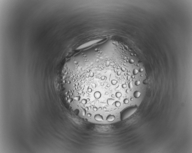 X0000060770671200512011613