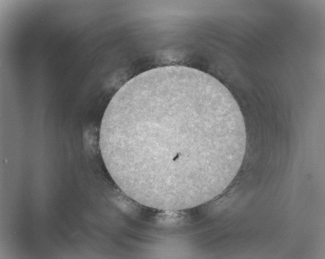 X0000060770672200512011613