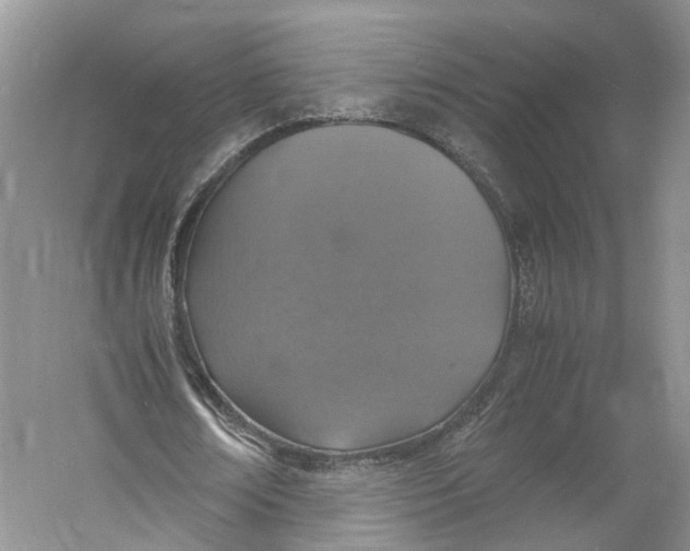 X0000060770674200512011612