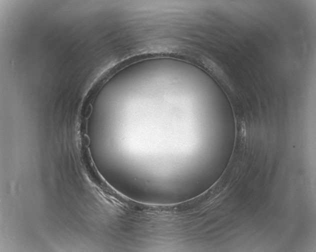 X0000060770676200512011612