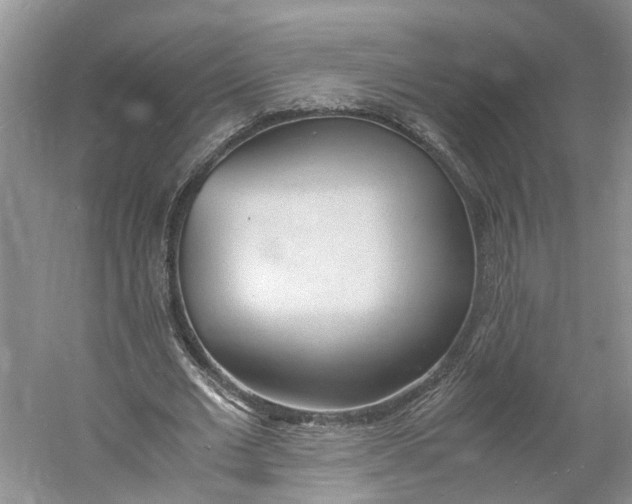 X0000060770677200512011612