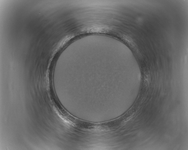 X0000060770678200512011612