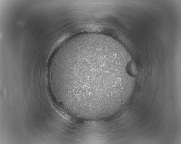 X0000060770679200512011612