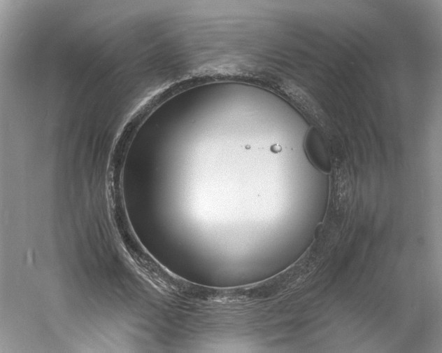 X0000060770680200512011612