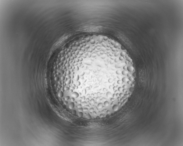 X0000060770682200512011612