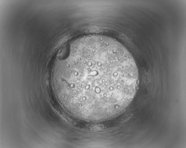 X0000060770683200512011612