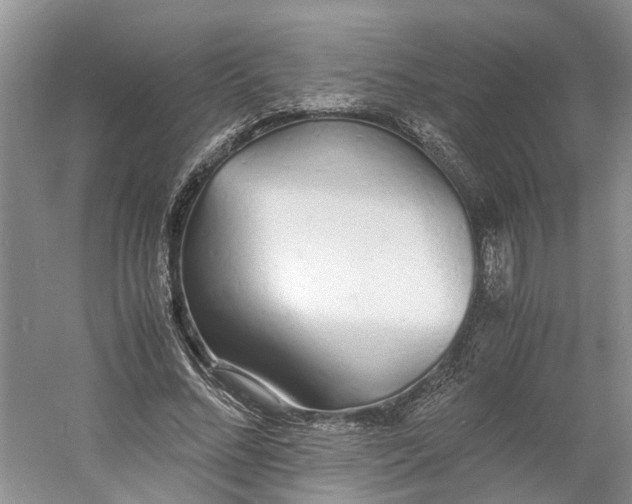 X0000060770684200512011612