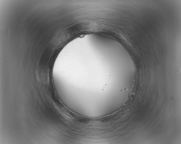 X0000060770685200512011612