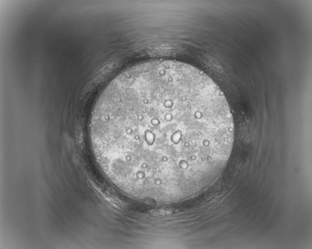 X0000060770687200512011612