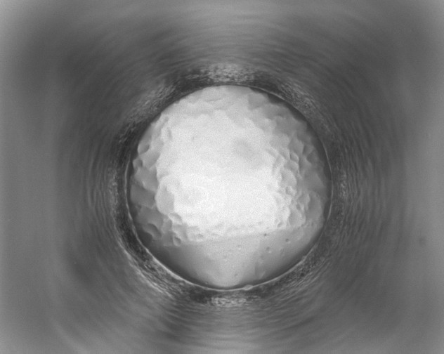 X0000060770690200512011612