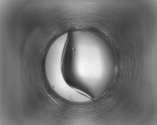 X0000060770691200512011612