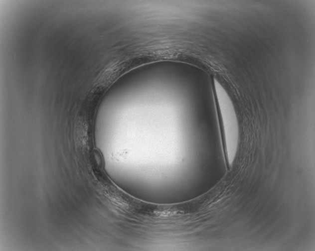 X0000060770693200512011612