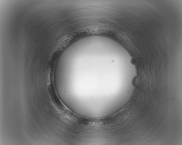 X0000060770694200512011612