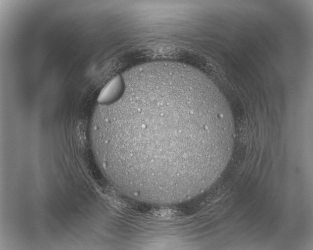 X0000060770695200512011612