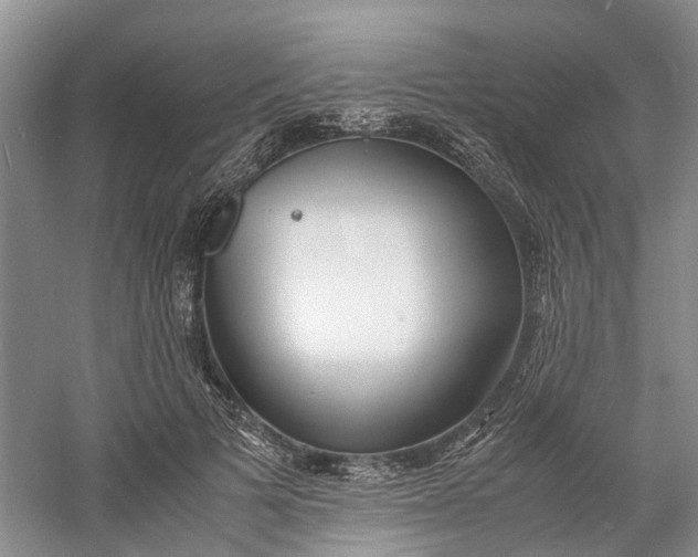 X0000060770697200512011612