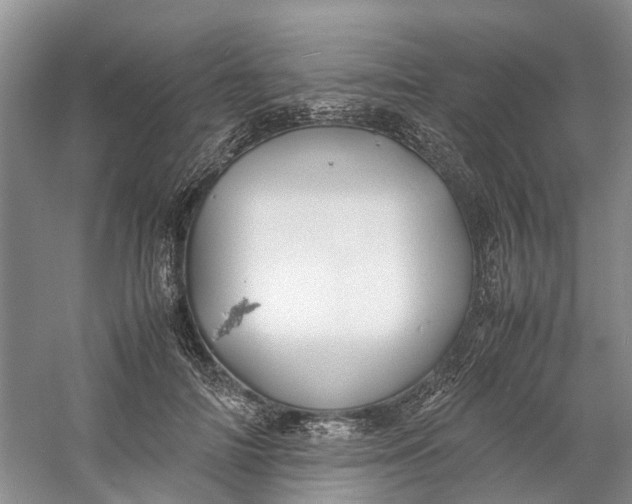 X0000060770698200512011612