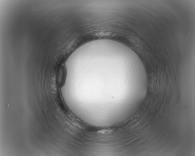 X0000060770700200512011612