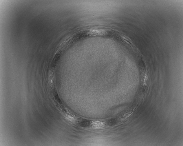 X0000060770701200512011612