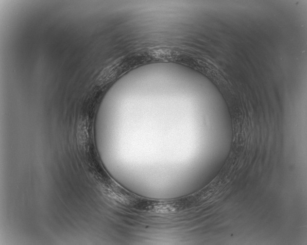 X0000060770702200512011612