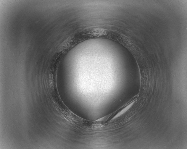 X0000060770704200512011612