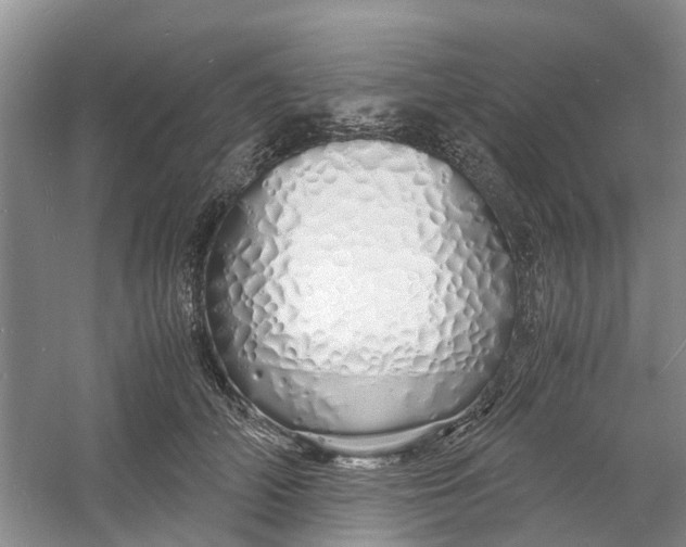 X0000060770706200512011612