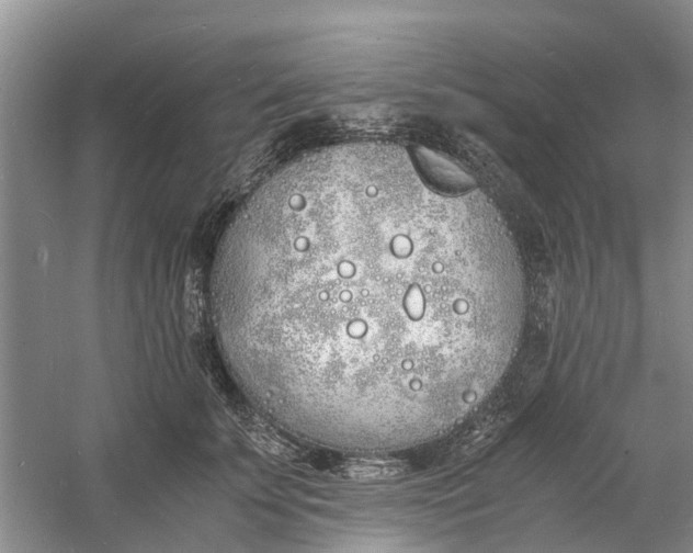 X0000060770707200512011612