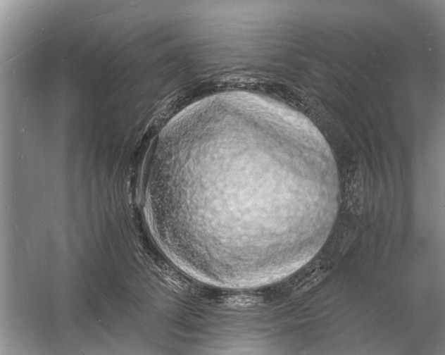 X0000060770708200512011612