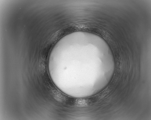 X0000060770710200512011612