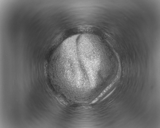 X0000060770712200512011612