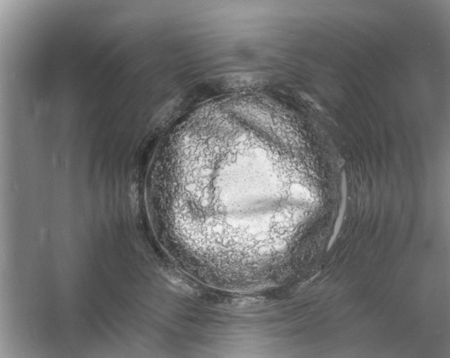 X0000060770716200512011612