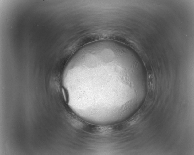 X0000060770719200512011612