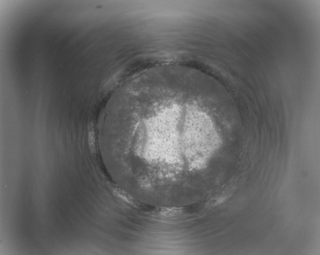 X0000060770720200512011612