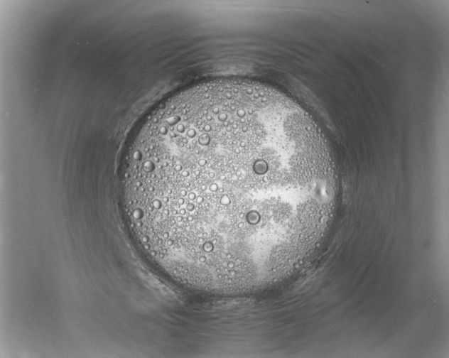 X0000060770721200512011611