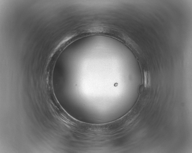 X0000060770723200512011611