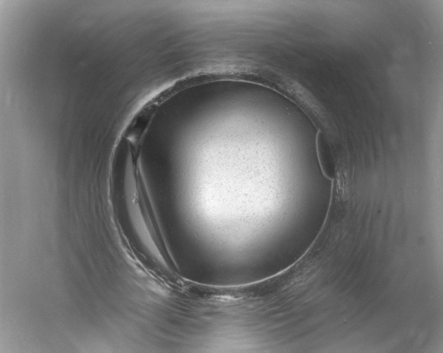 X0000060770724200512011611