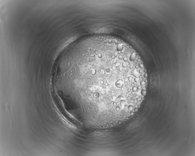 X0000060770725200512011611