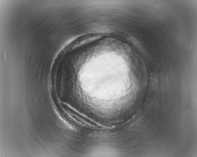 X0000060770726200512011611