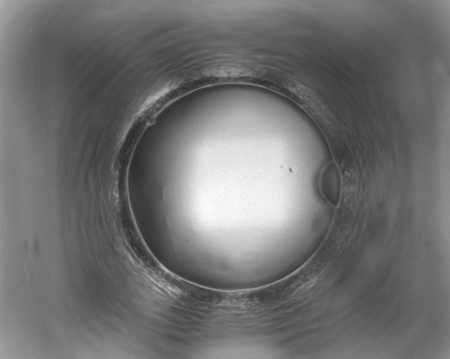 X0000060770727200512011611