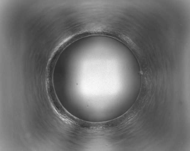 X0000060770728200512011611