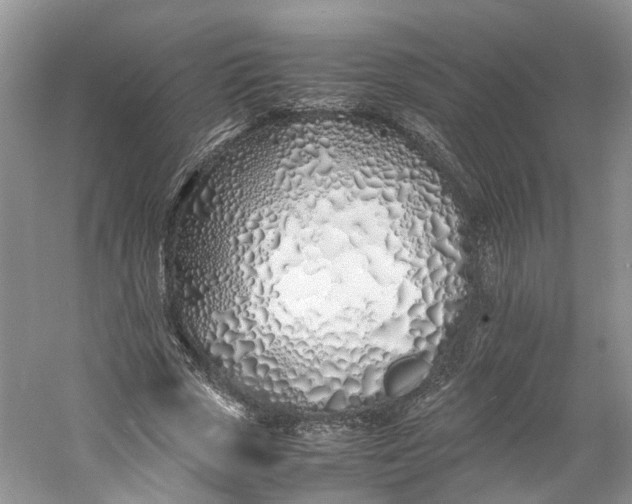 X0000060770729200512011611