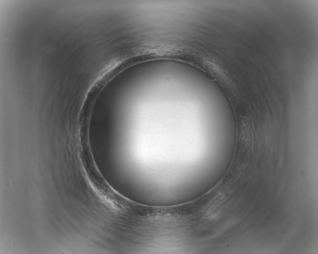 X0000060770730200512011611